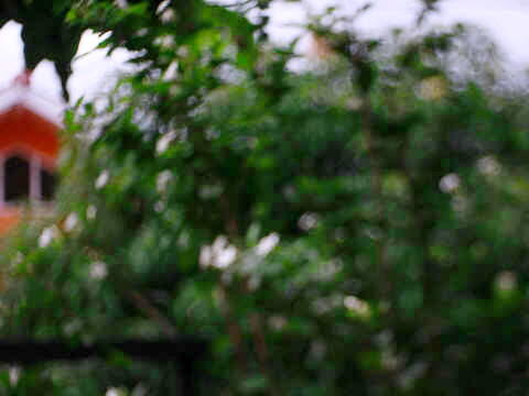 Dijual Lensa Manual Meyer Trioplan 50mm F2.9 V Red RARE (LANGKA)