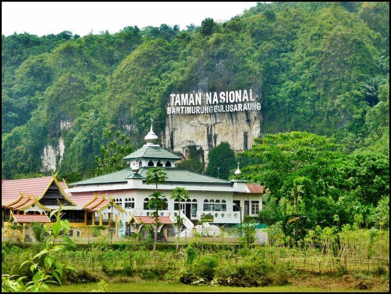 Taman Nasional Bantimurung Bulusaraung