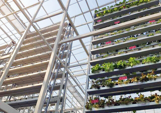 Kapan Visi Urban Farming Dapat Teraplikasikan di Indonesia?