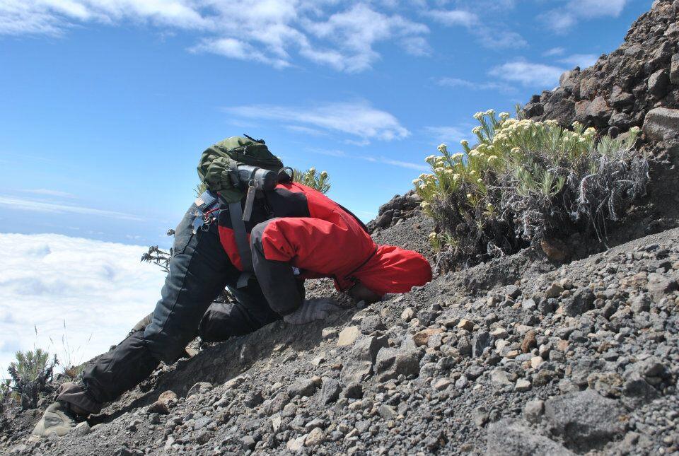 Menggapai puncak Rinjani