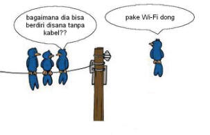 Ternyata teknologi WIFI juga dinikmati oleh Binatang (Burung)