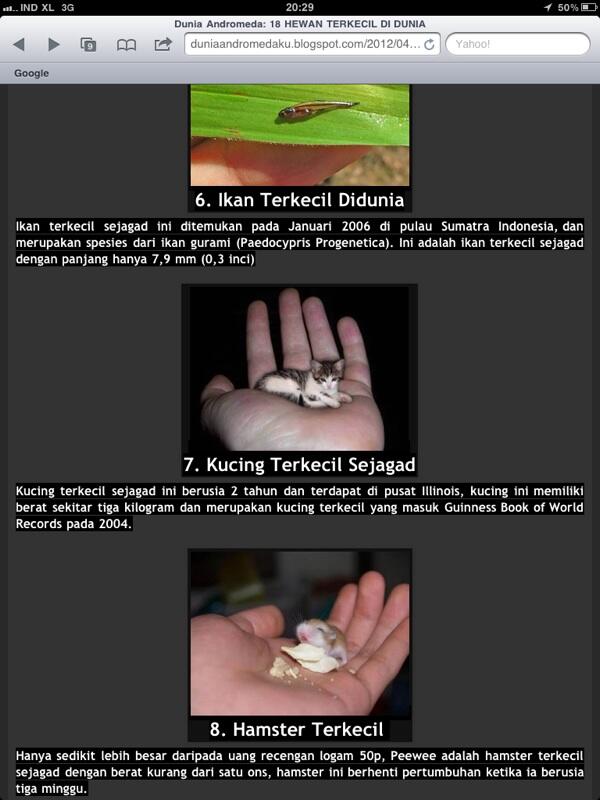 Hewan - hewan terkecil di dunia
