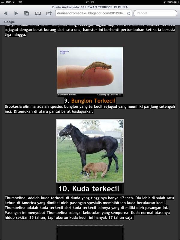 Hewan - hewan terkecil di dunia
