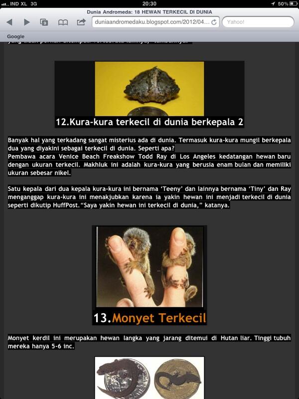 Hewan - hewan terkecil di dunia