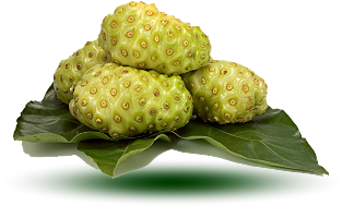 6 Jenis Buah yang berkhasiat untuk obat