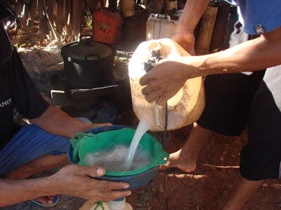 Budaya Minum Tuak Di Bumi Ronggolawe