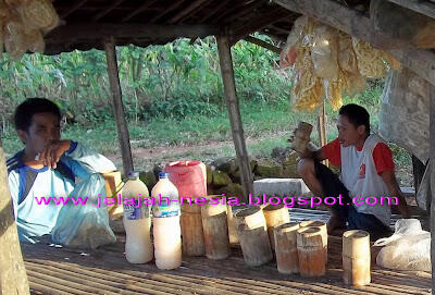 Budaya Minum Tuak Di Bumi Ronggolawe