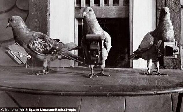 Sejarah Foto Udara Pertama di Dunia Tahun 1908