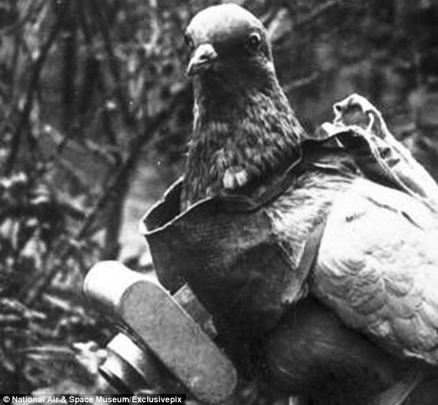 Sejarah Foto Udara Pertama di Dunia Tahun 1908