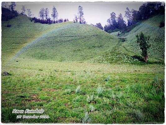 Ranu Kumbolo &quot;Hanya ada di Semeru&quot;