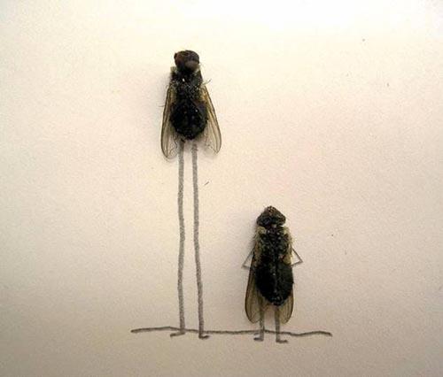 Karya Seni Unik, Ketika Lalat Sedang Bermain