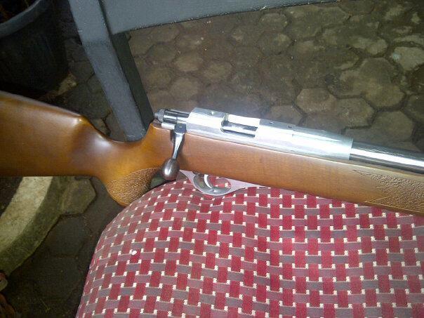 senapan angin pcp ruger