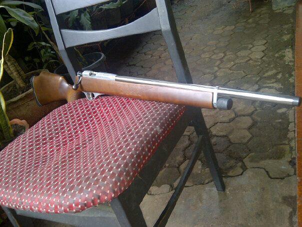 senapan angin pcp ruger