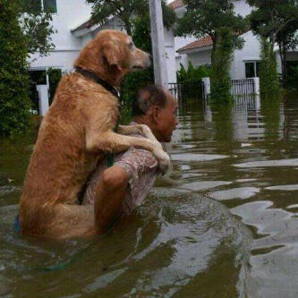 15 Ide saat banjir