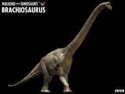 9 Fakta Menarik Tentang Dinosaurus