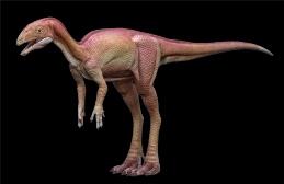 9 Fakta Menarik Tentang Dinosaurus