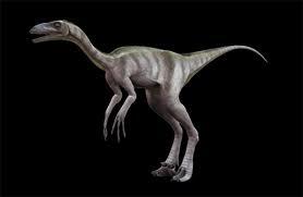 9 Fakta Menarik Tentang Dinosaurus