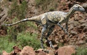 9 Fakta Menarik Tentang Dinosaurus