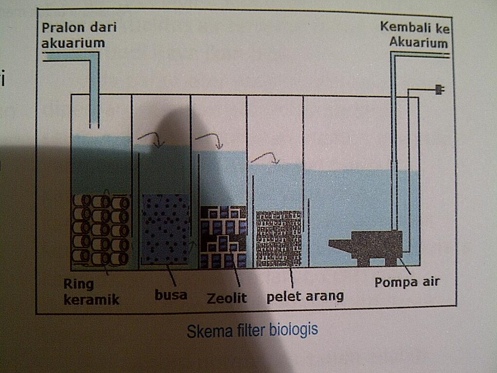 Filter pages