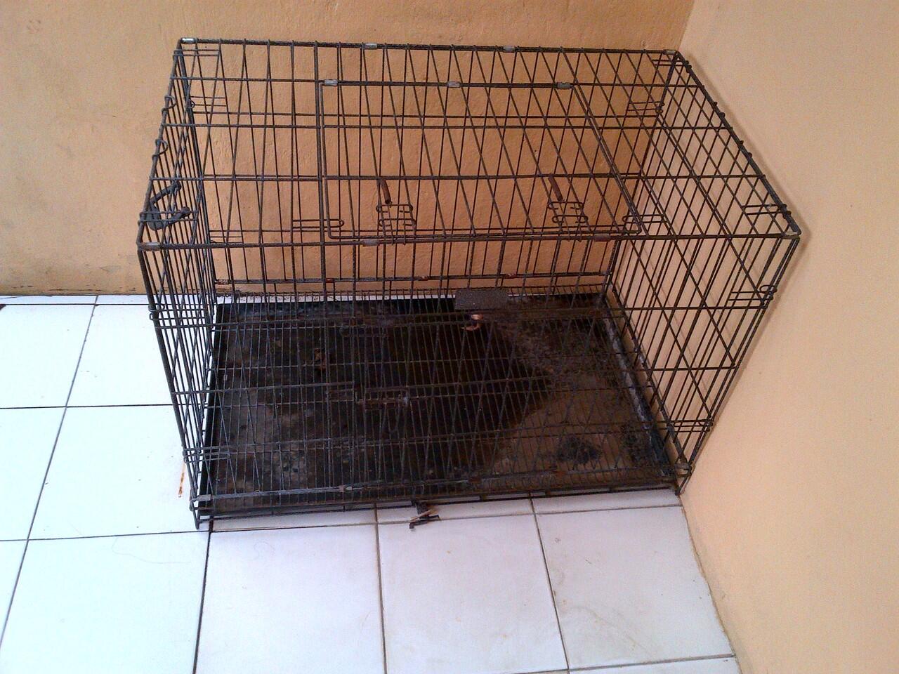 Terjual Jual Kandang Bekas Golden Retriver Bandung Kaskus