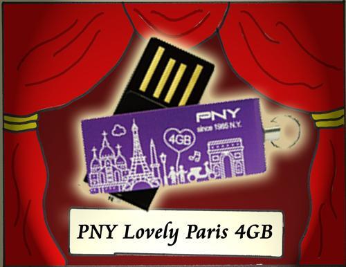 Flashdisk PNY Paris