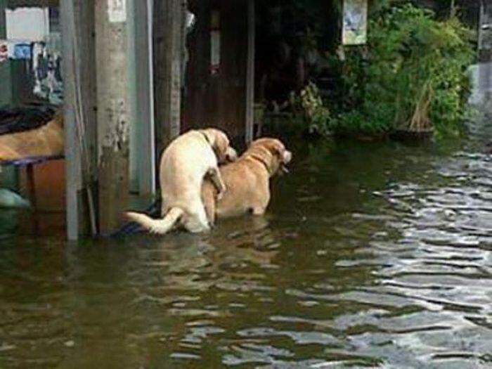 Ada Warga Nonton Banjir Jakarta Sambil Narsis