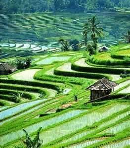 Keunikan negara tercinta kita indonesia gan