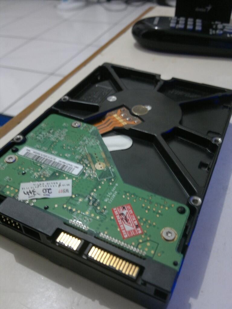 Hardisk Internal WDC Caviar Blue 500GB dan 320GB Jogja