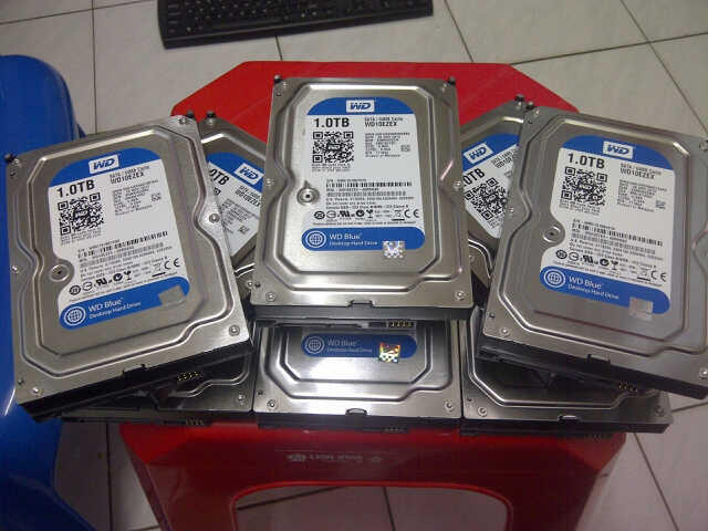 wd blue 1 tb ready jkt free ongkir