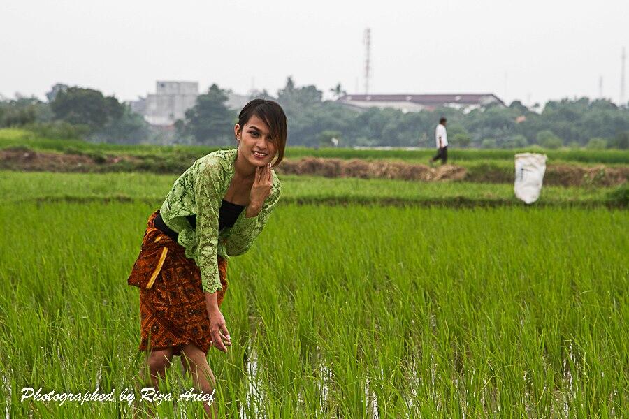 klo di desa kaya gini.. mungkin semua anak muda jadi petani semua..