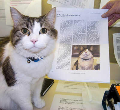 Oscar, Kucing Yang Dapat Mendeteksi Kematian