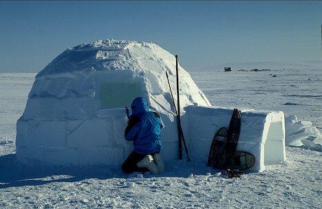 &#91;HOT&#93; 8 Fakta unik suku eskimo