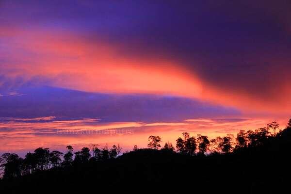 Please Visit East Java ^_^