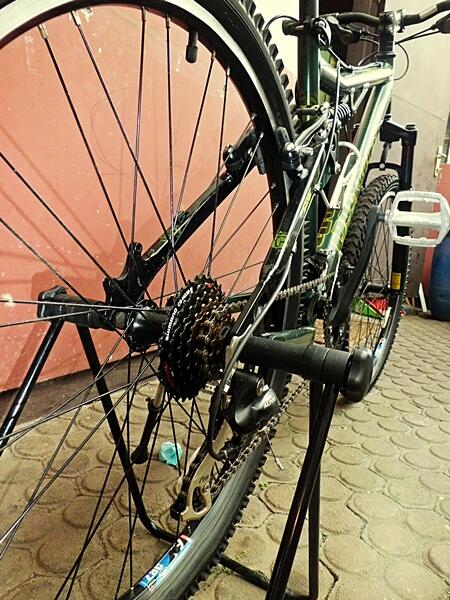 Polygon Axion Super Mulus!