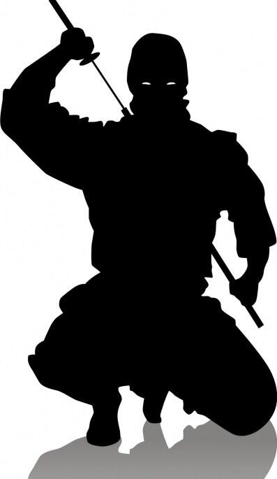 Inilah Sejarah "Ninja"