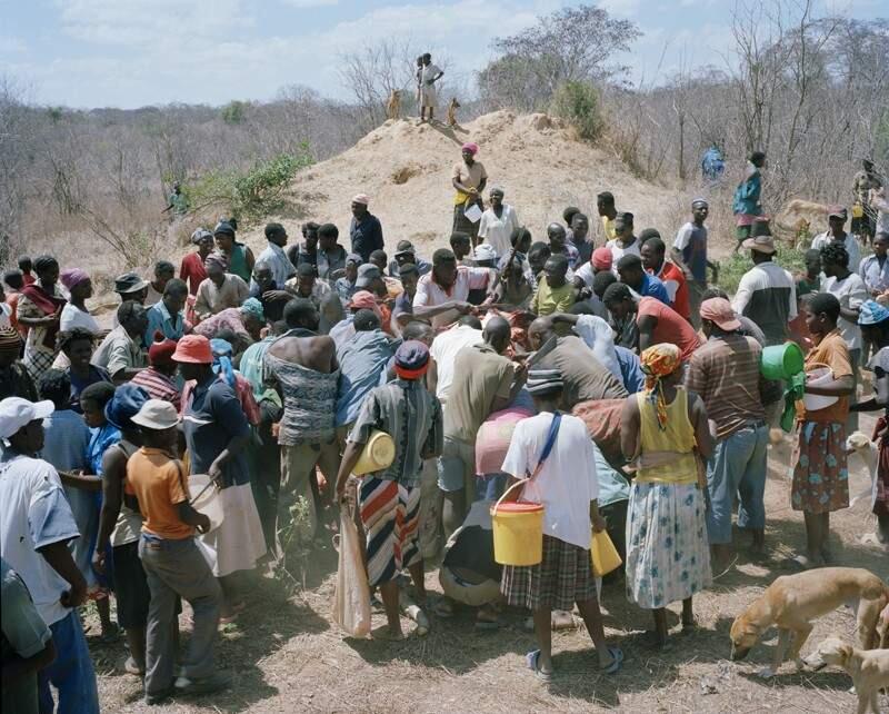 Kalo gajah Mati akan seperti ini Di AFRIKA?