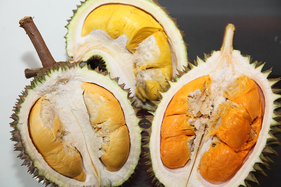 sejuta manfaat buah durian
