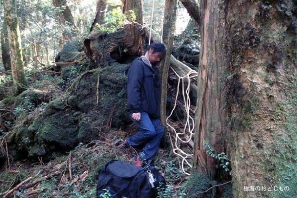 Ini 5 Hutan Paling Angker dan Mengerikan di Dunia