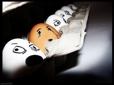 Kreasi Lucu dari Telur...!!!