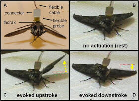 5 senjata canggih masakini.