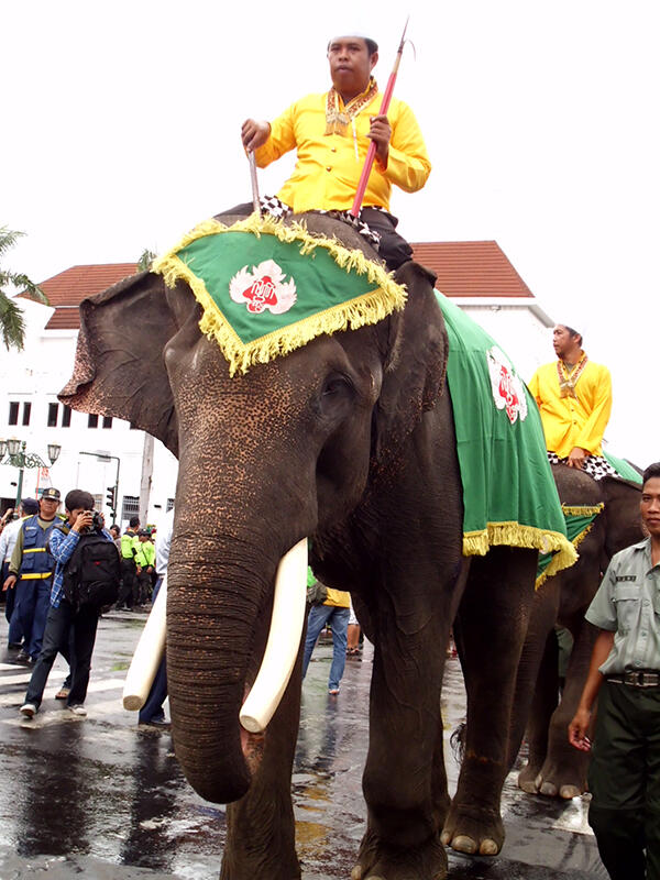 UPACARA ADAT KERATON YOGYAKARTA BERNAMA GREBEG