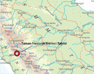 Misteri &quot;Uhuk Pandak&quot; Orang Kerdil Gunung Kerinci, Jambi