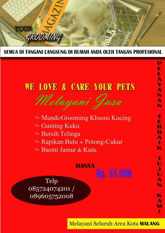 Terjual Grooming Memandikan Kucing Di Tempat Area Malang Kaskus