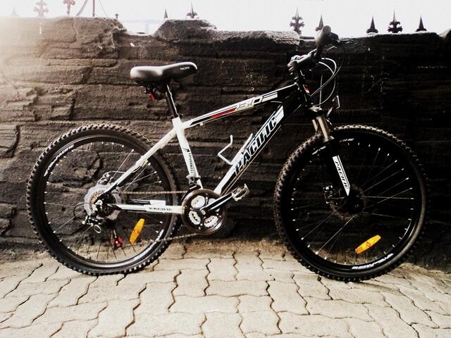 PACIFIC MASSERONI 3.0 MTB HARDTAIL ( 26 Inchi )