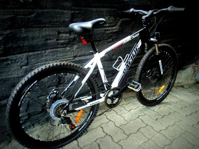 PACIFIC MASSERONI 3.0 MTB HARDTAIL ( 26 Inchi )