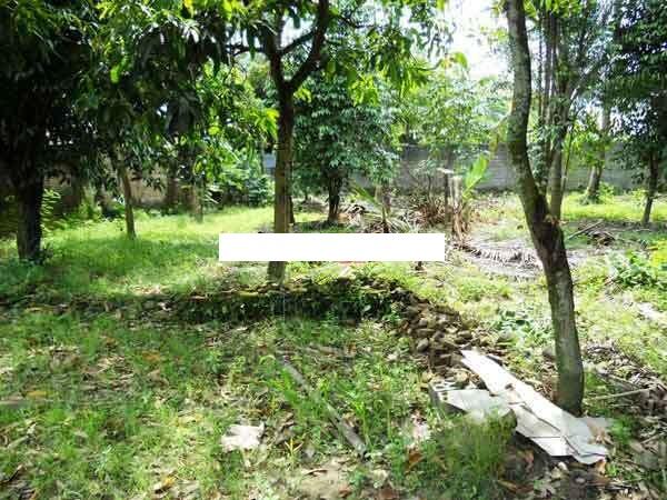 Rumah+Tanah di Ngeksigondo Kotagede
