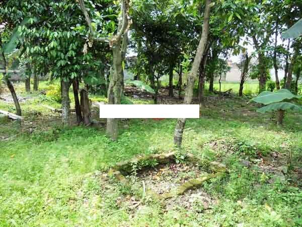 Rumah+Tanah di Ngeksigondo Kotagede