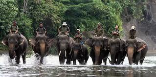 Tangkahan, Paradise in North Sumatra