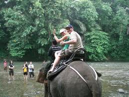 Tangkahan, Paradise in North Sumatra