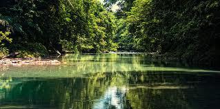 Tangkahan, Paradise in North Sumatra